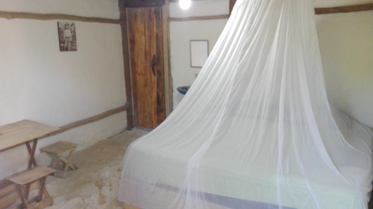 Eco Lodge Hotel Villa Τουλούμ Εξωτερικό φωτογραφία