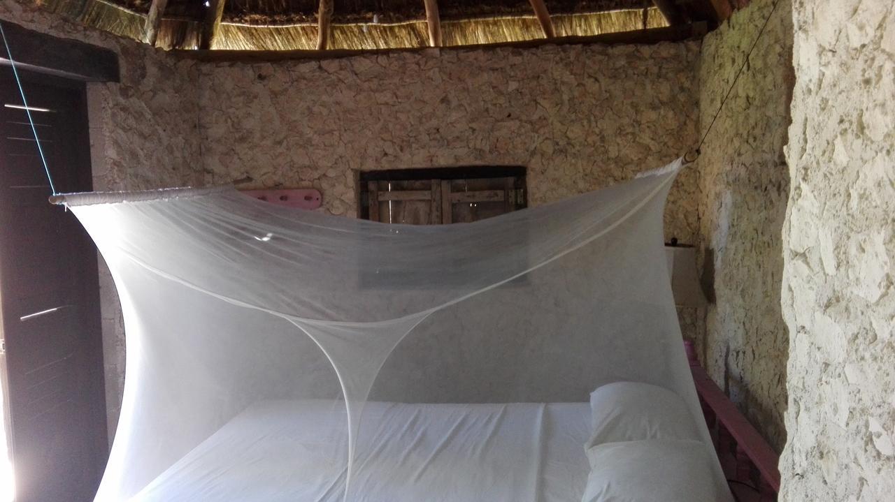 Eco Lodge Hotel Villa Τουλούμ Εξωτερικό φωτογραφία
