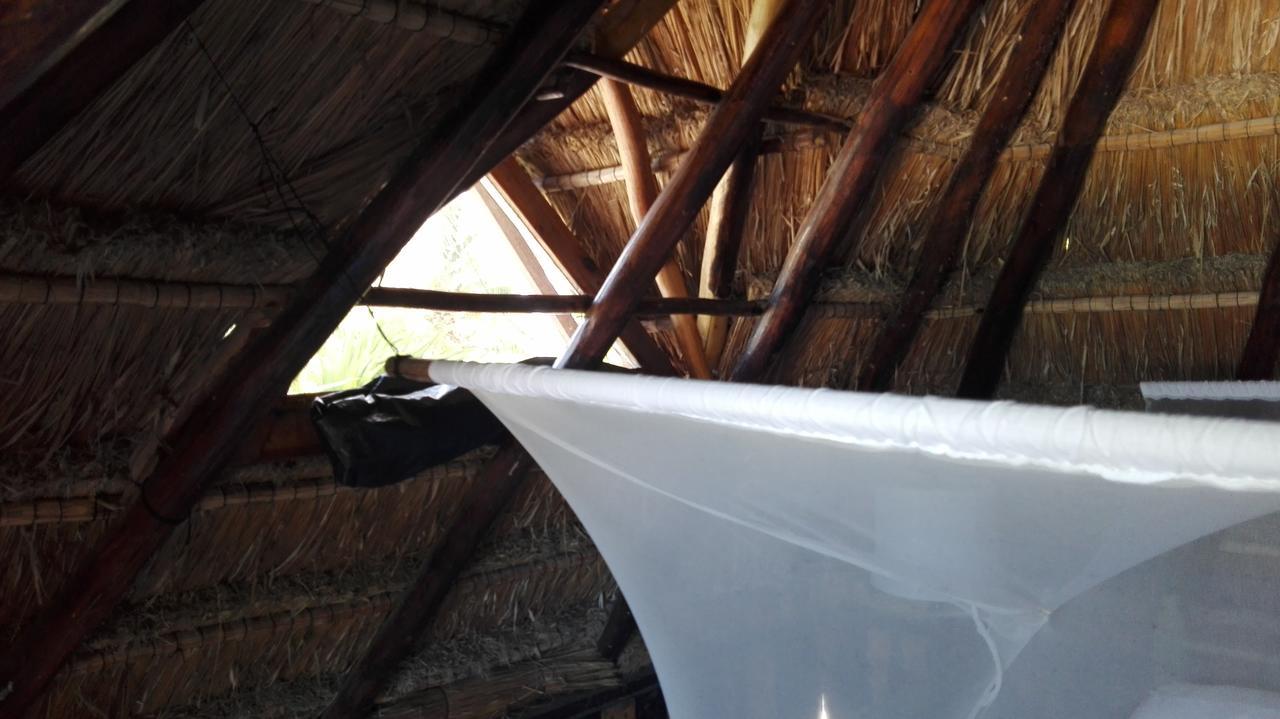 Eco Lodge Hotel Villa Τουλούμ Εξωτερικό φωτογραφία