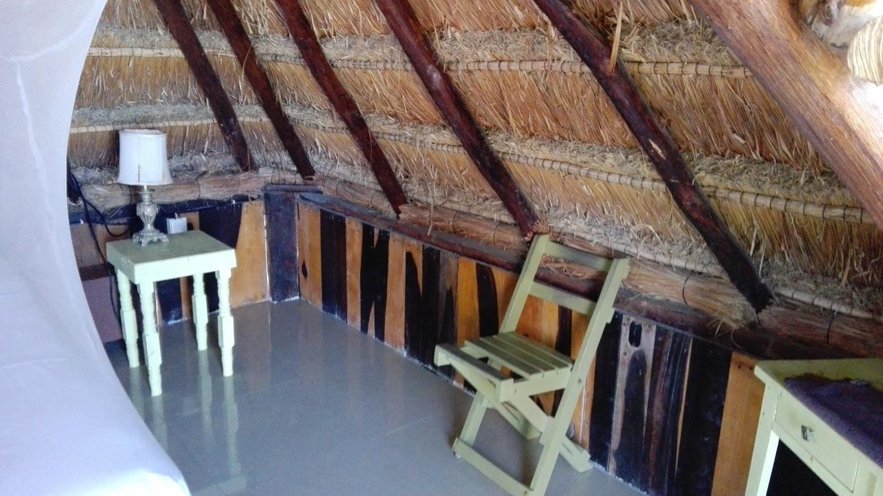 Eco Lodge Hotel Villa Τουλούμ Εξωτερικό φωτογραφία
