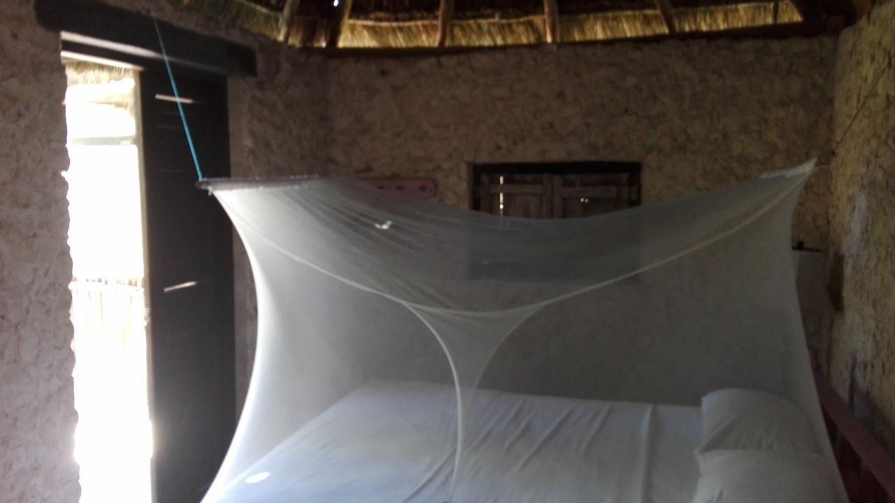 Eco Lodge Hotel Villa Τουλούμ Εξωτερικό φωτογραφία
